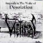 Anguish in the Wake of Desolation